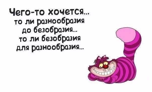 0mw8gcKvEBA.webp