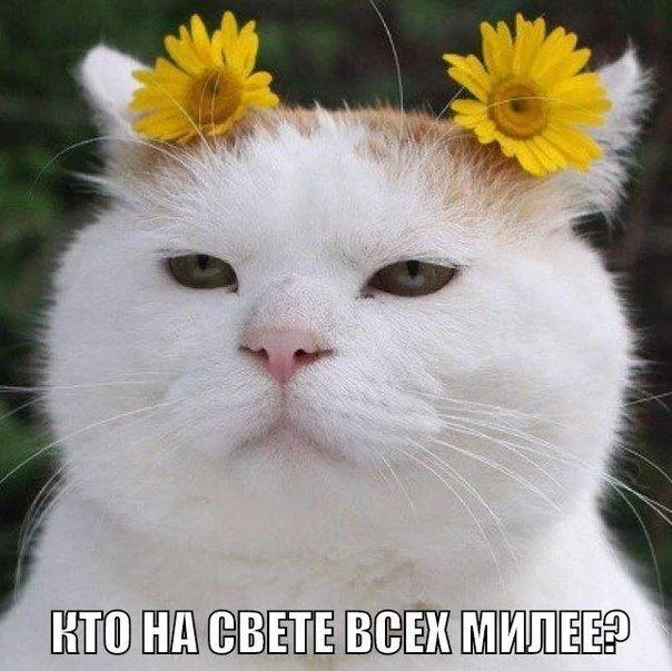 0PylFu_41Ak.webp