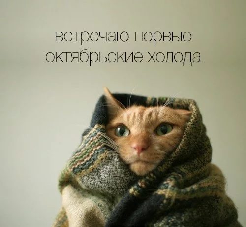 0qjFSBwIeyk.webp