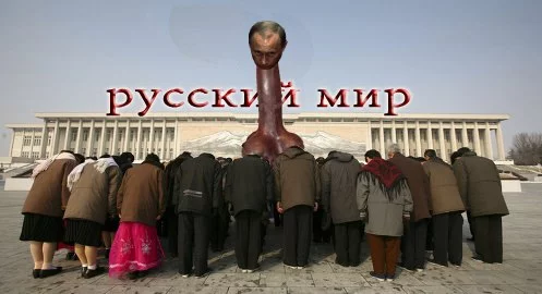 0sMge7N80_M.webp