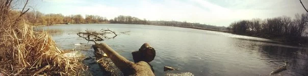 0sseICgLggc.webp
