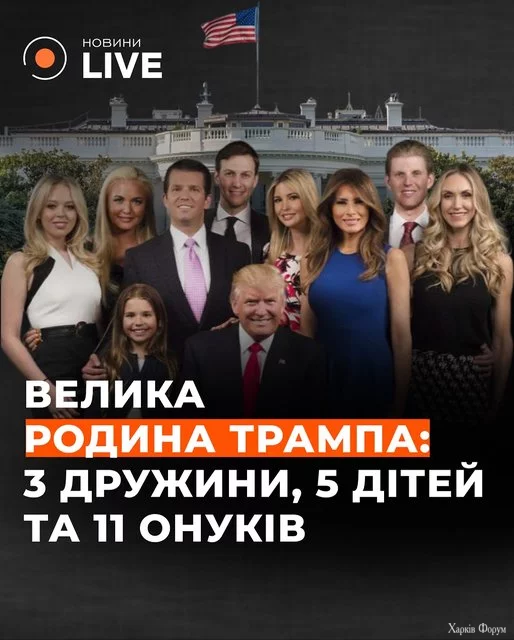 1 (1).webp