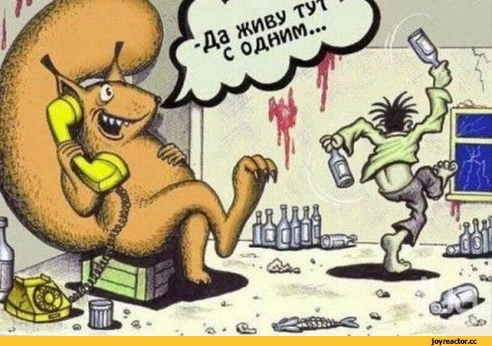 1%8F-%D0%B2-%D0%B3%D0%BE%D0%B2%D0%BD%D0%BE-1740216.webp