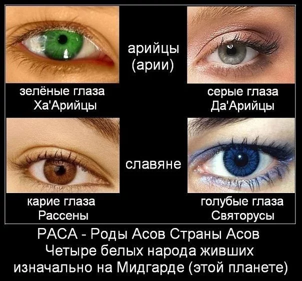 1%D1%8B+%D0%92%D0%B5%D0%BB%D0%B8%D0%BA%D0%BE%D0%B9.webp