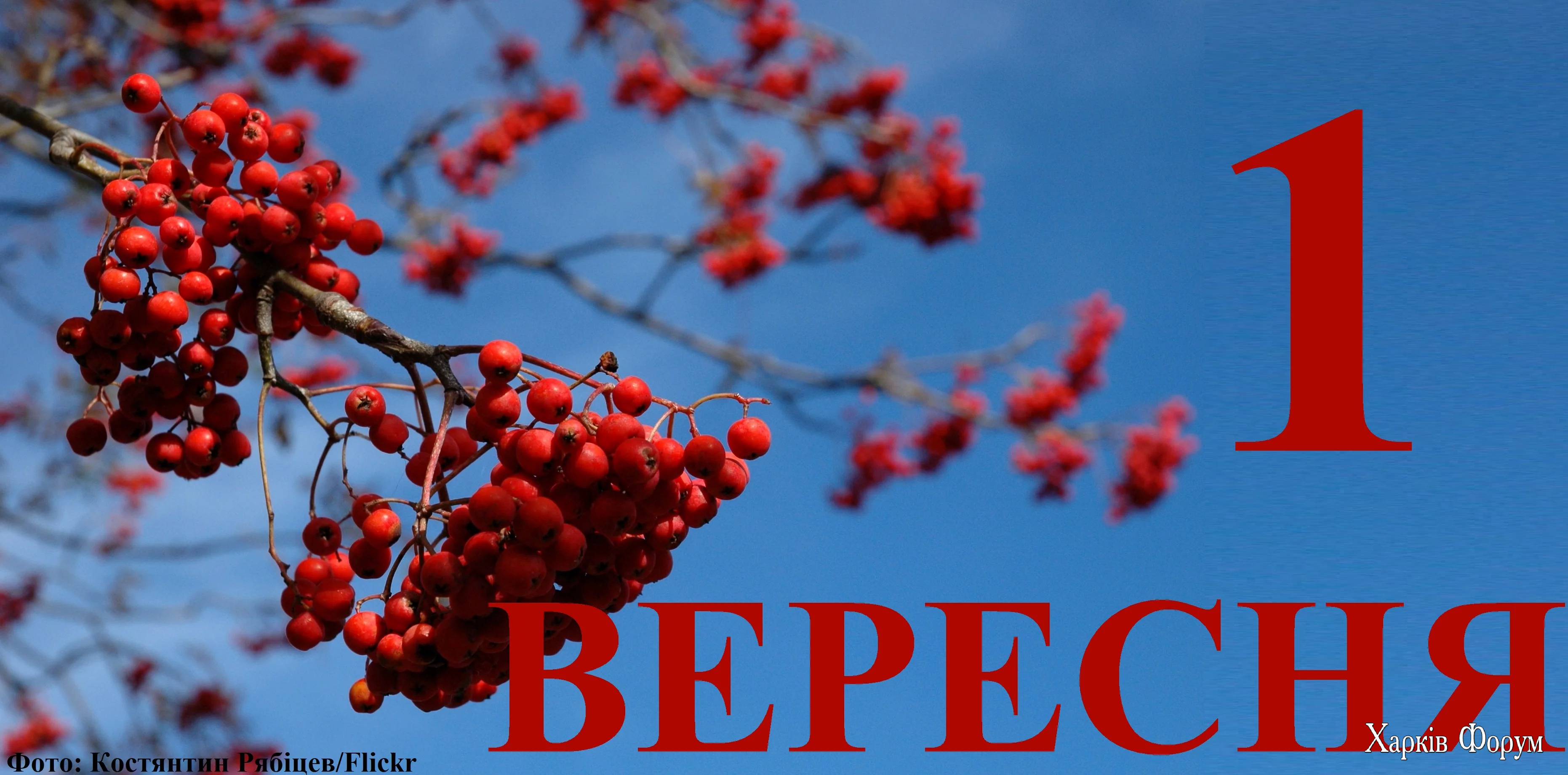 1-VERESNYA-1.webp