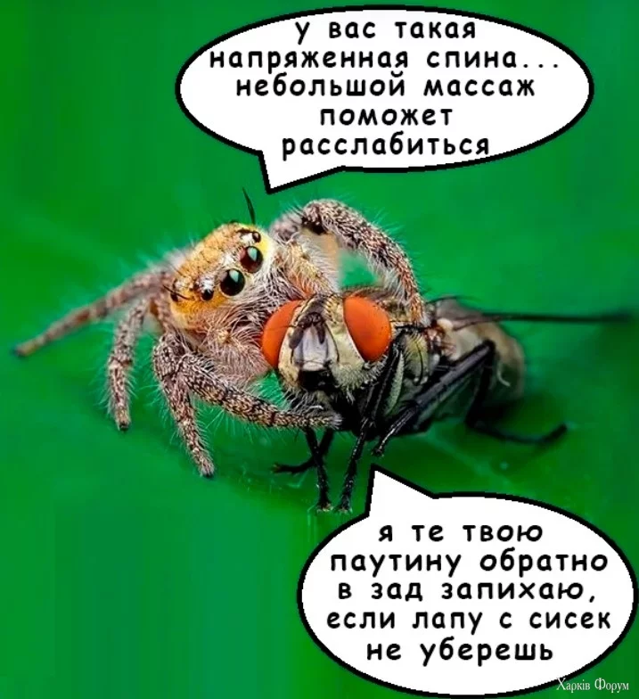 1.webp
