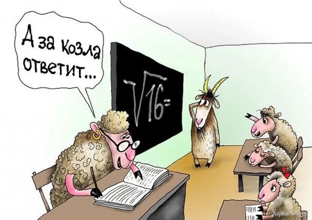 1.webp
