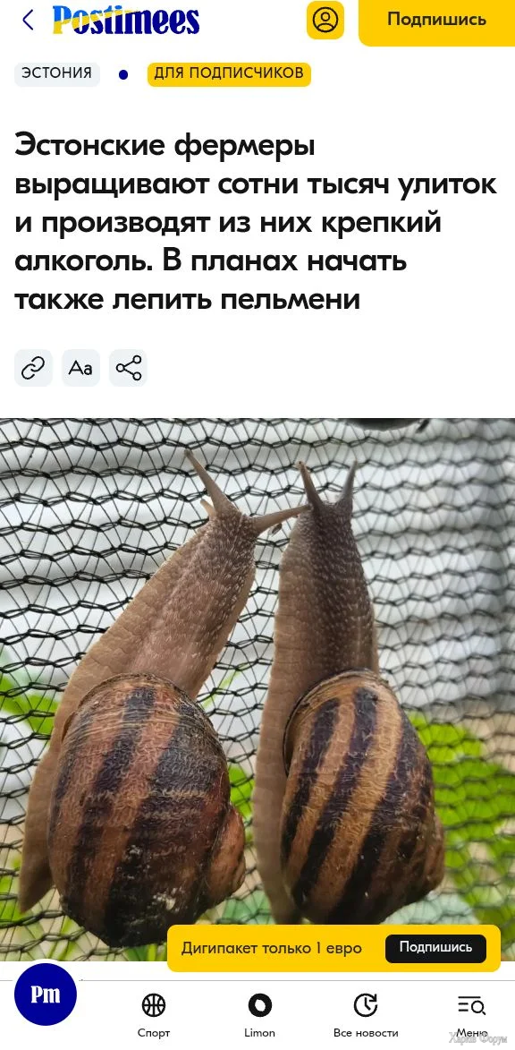 1000000048.webp