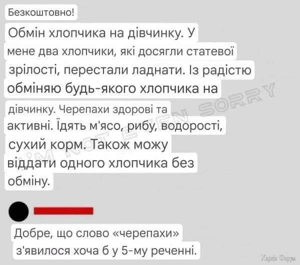 1000000087.webp