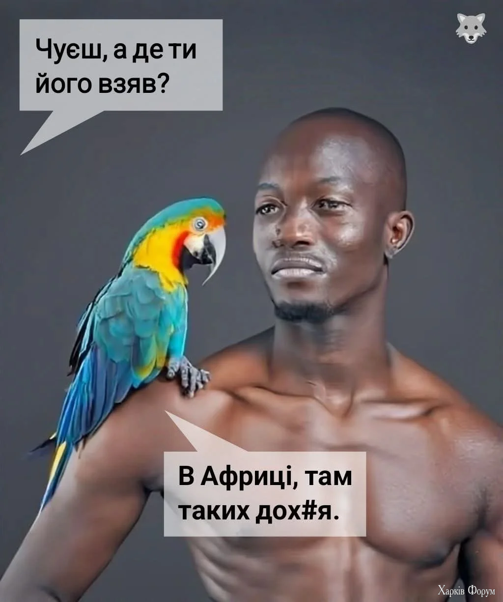 1000000107.webp
