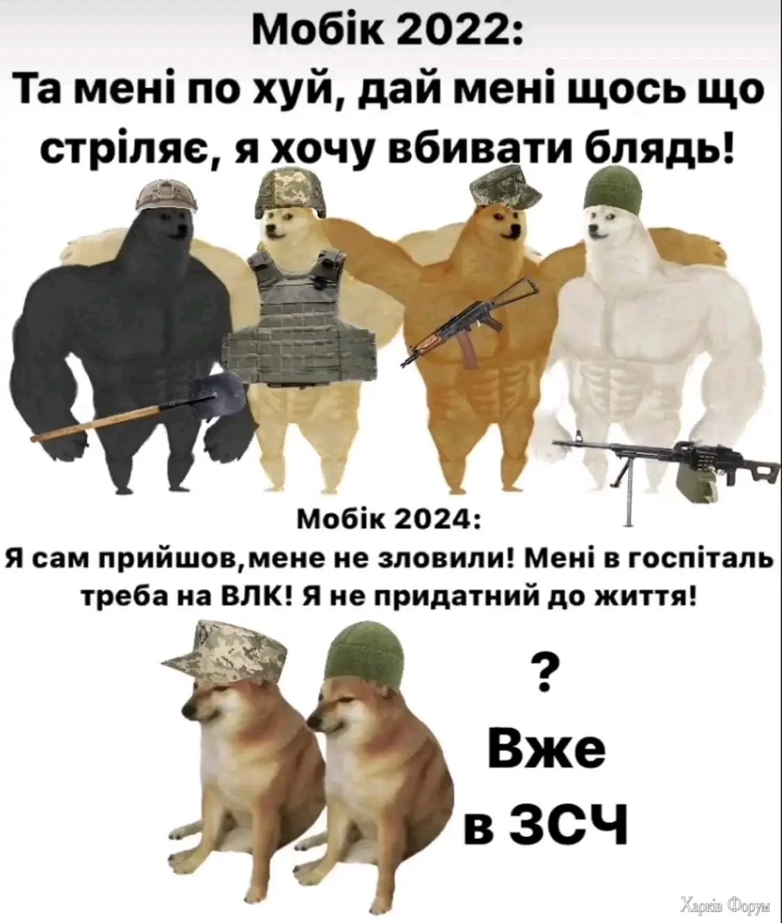 1000000187.webp