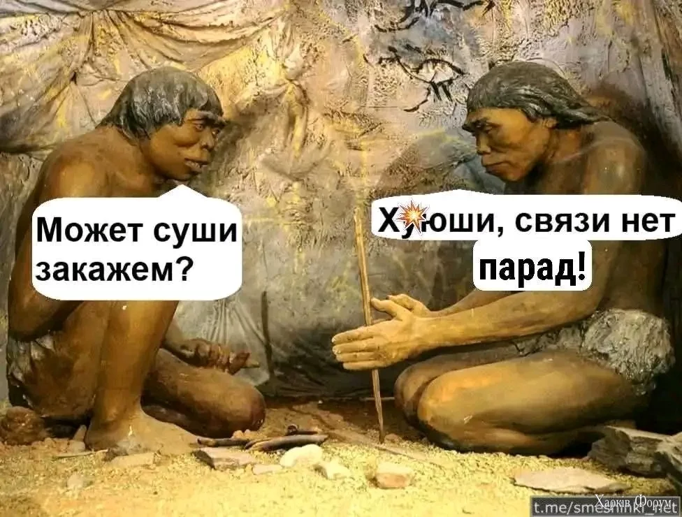 1000000233.webp