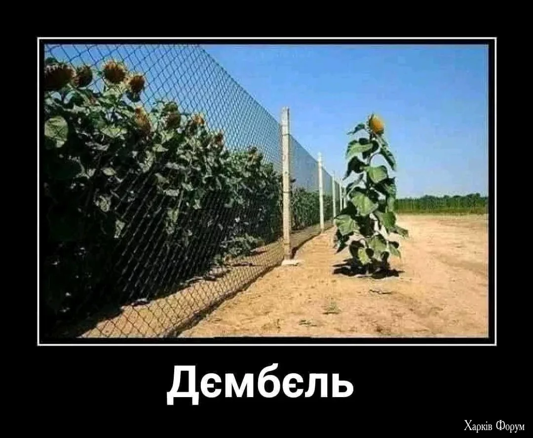 1000000234.webp