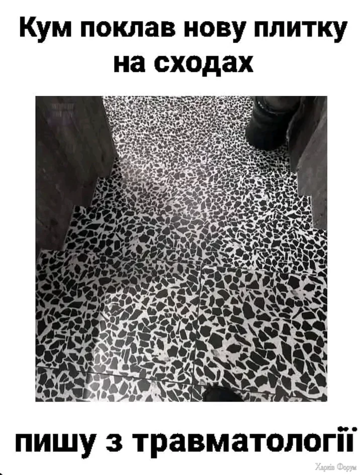 1000000247.webp