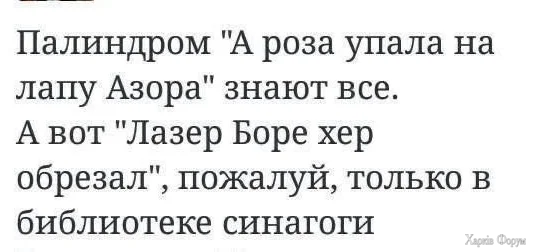 1000000257.webp