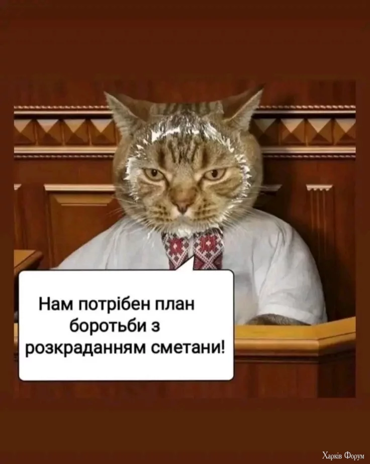 1000000330.webp