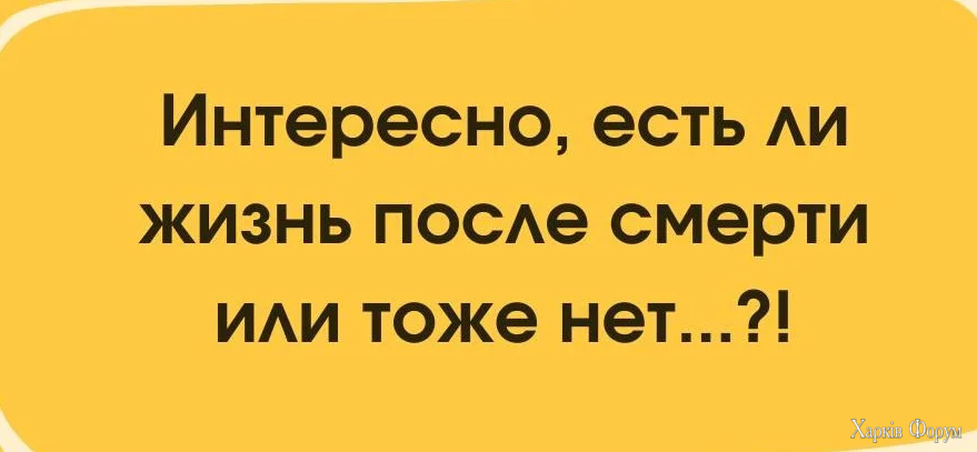 1000000355.webp