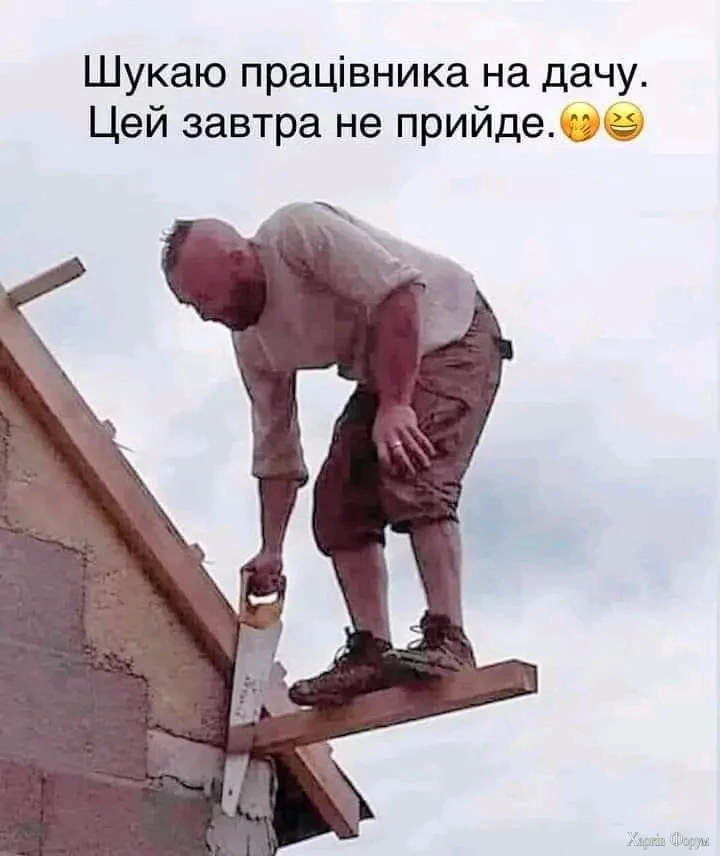 1000000387.webp