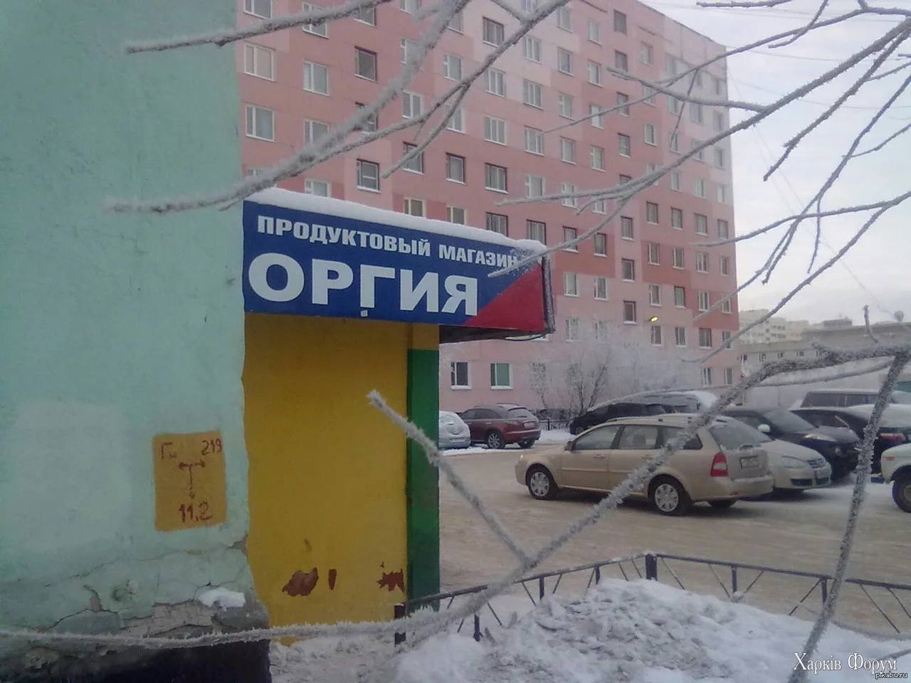 1000000406.webp