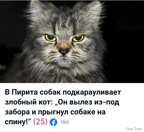 1000000438.webp