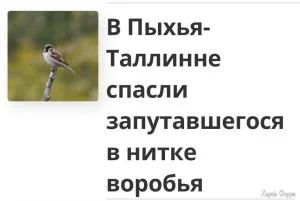 1000000439.webp