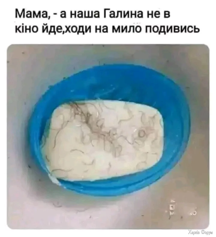 1000000519.webp
