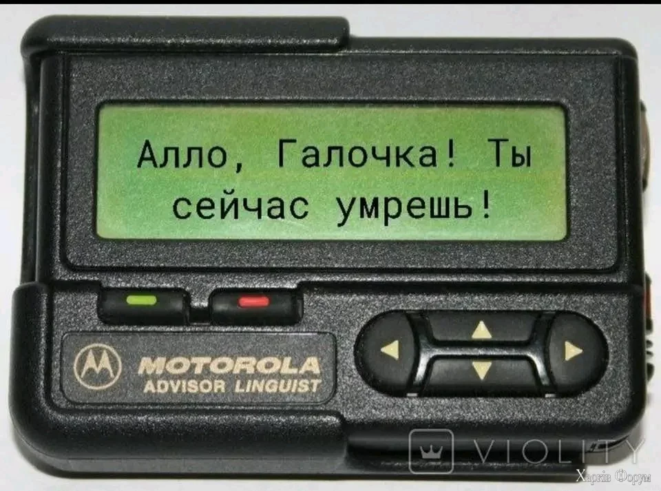 1000000693.webp