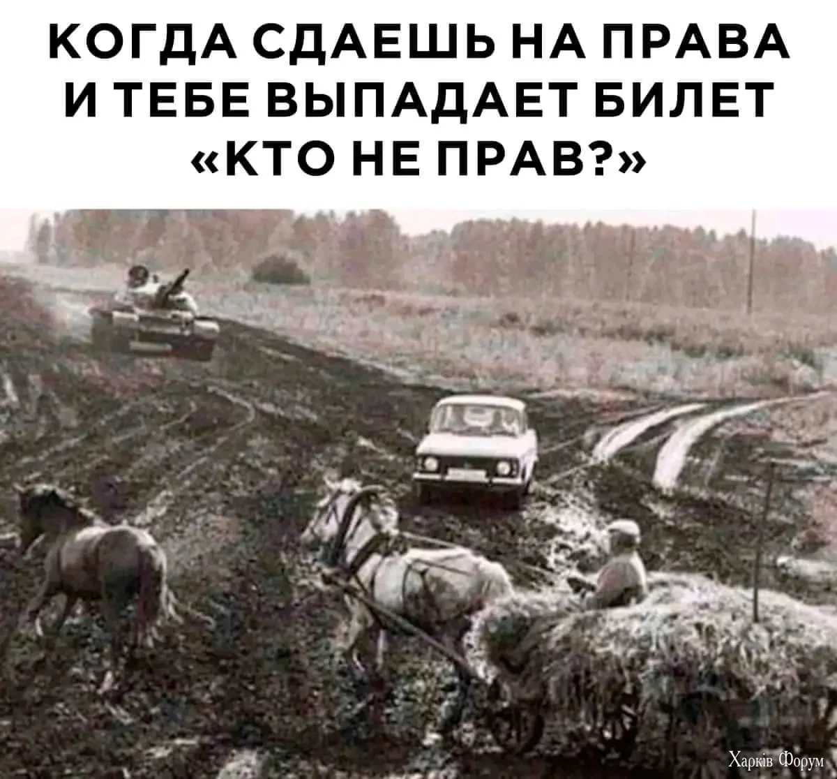 1000000794.webp