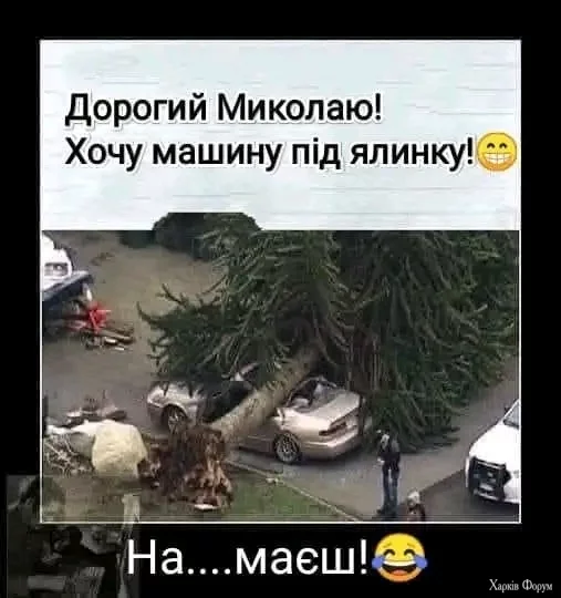 1000000817.webp