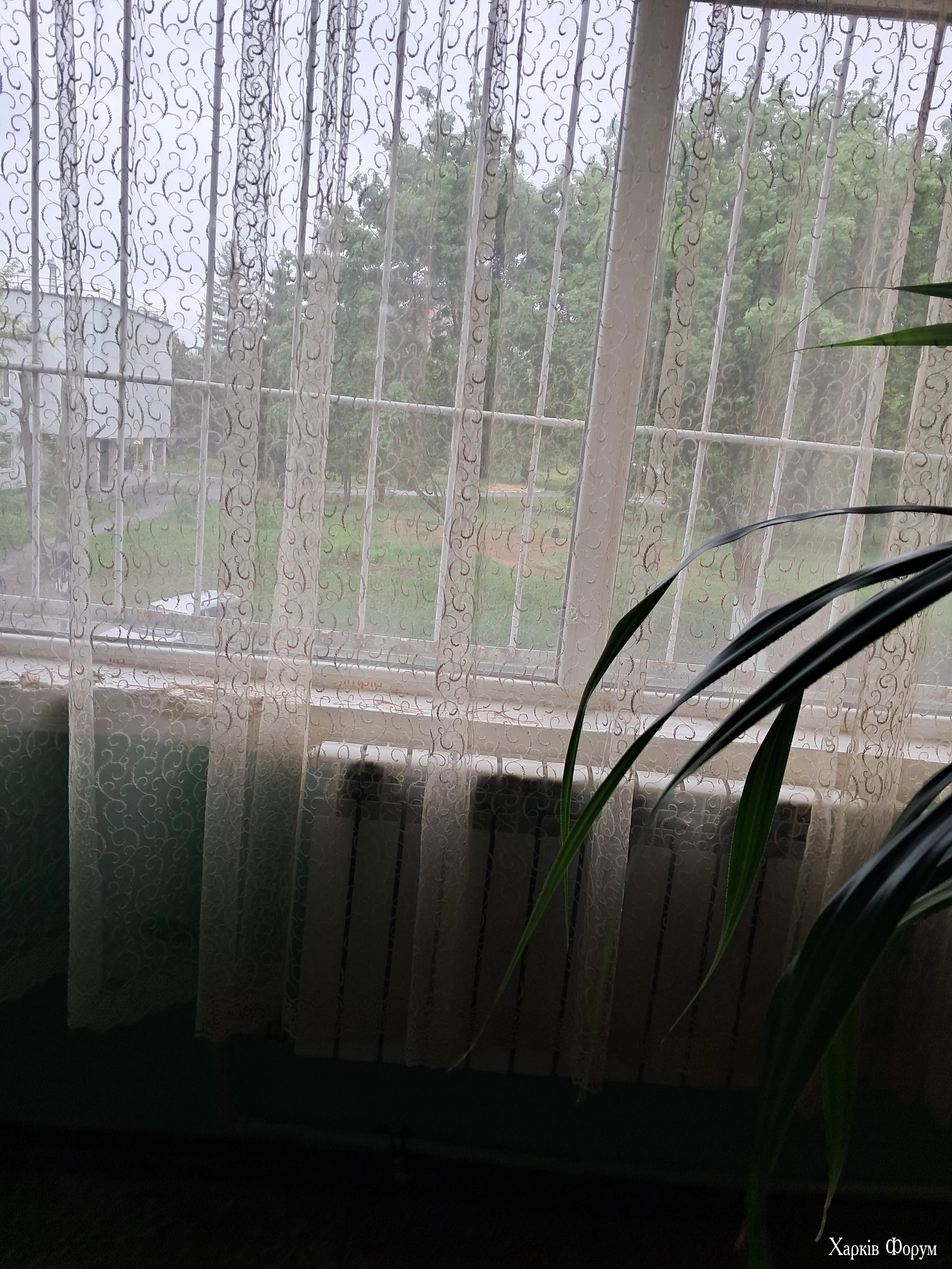 1000000849.webp