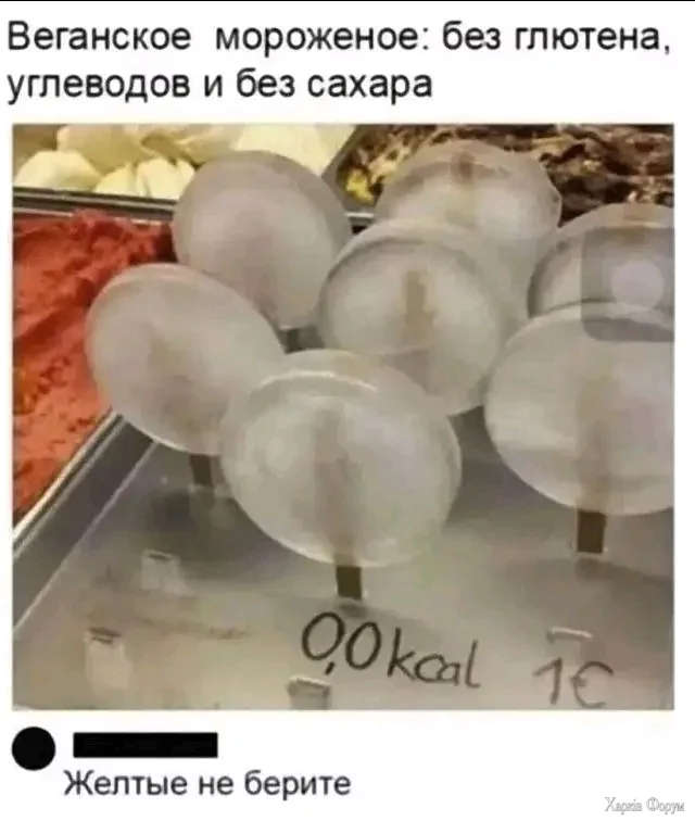 1000000894.webp