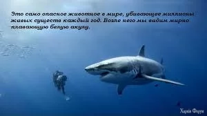 1000001107.webp