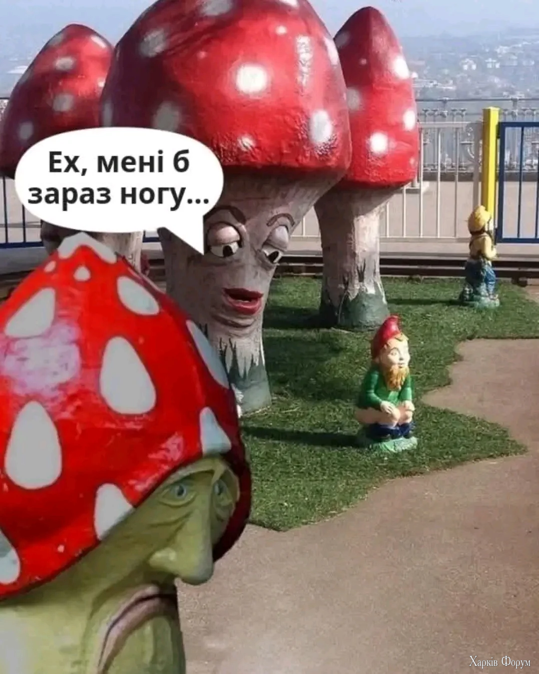 1000001316.webp