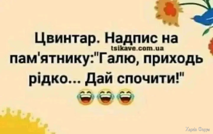 1000001343.webp