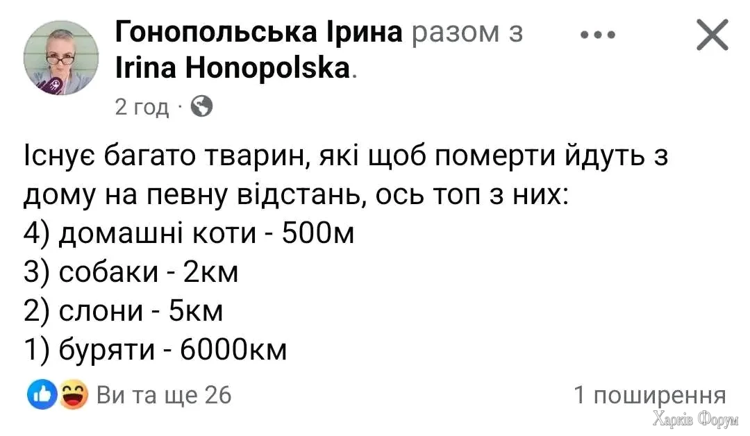 1000001355.webp