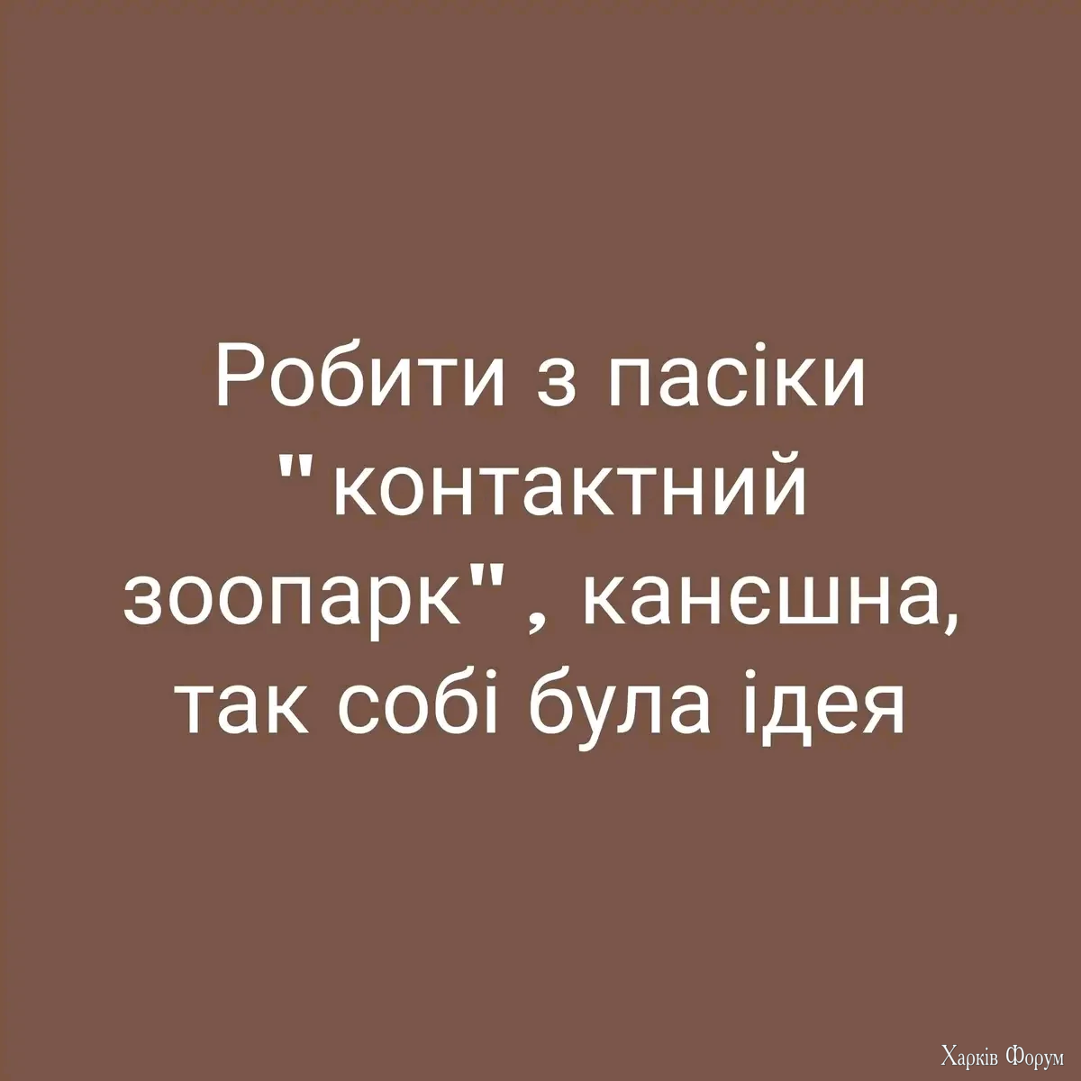 1000001466.webp