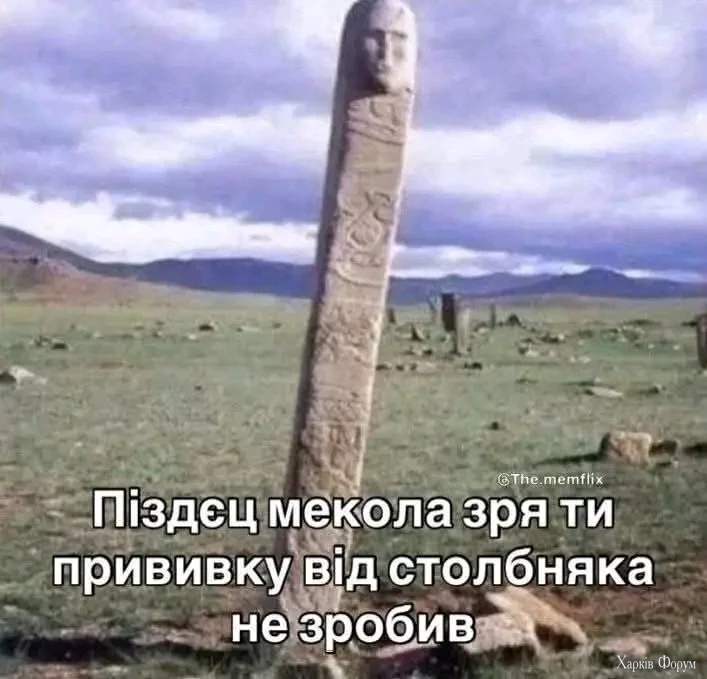 1000001632.webp