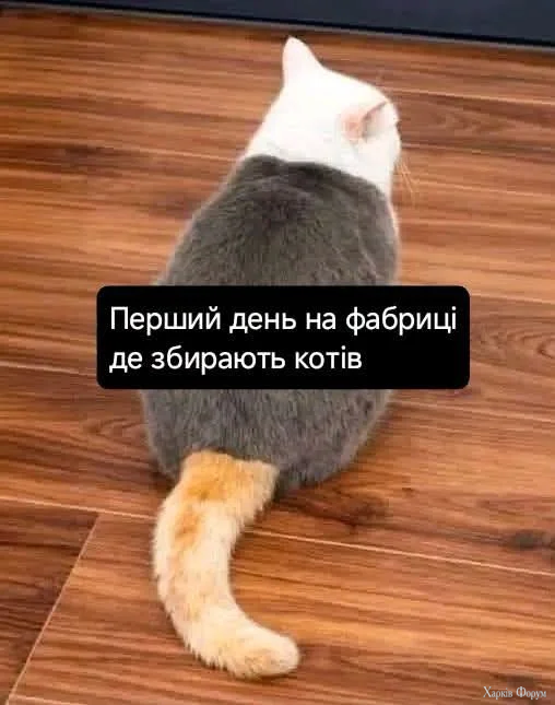 1000001675.webp