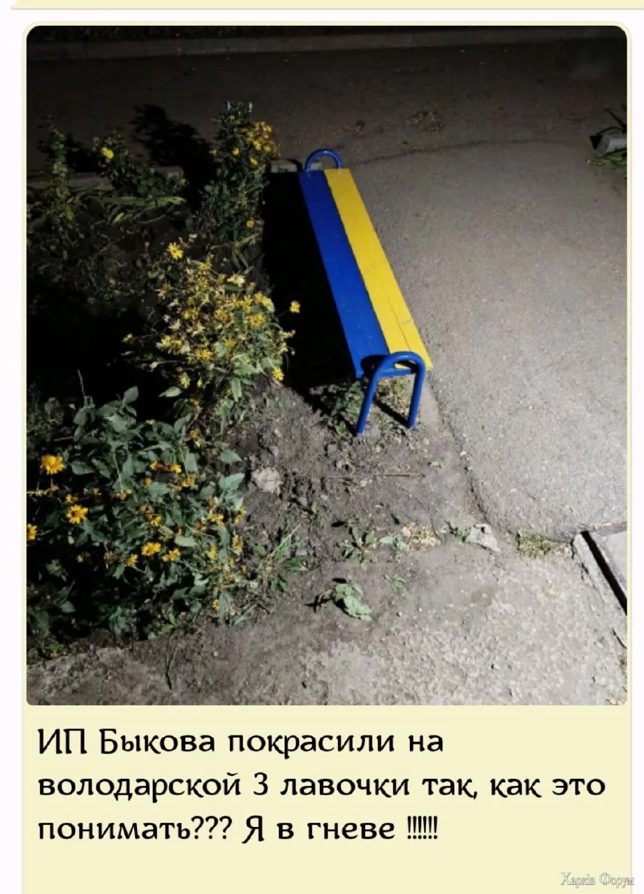 1000001952.webp