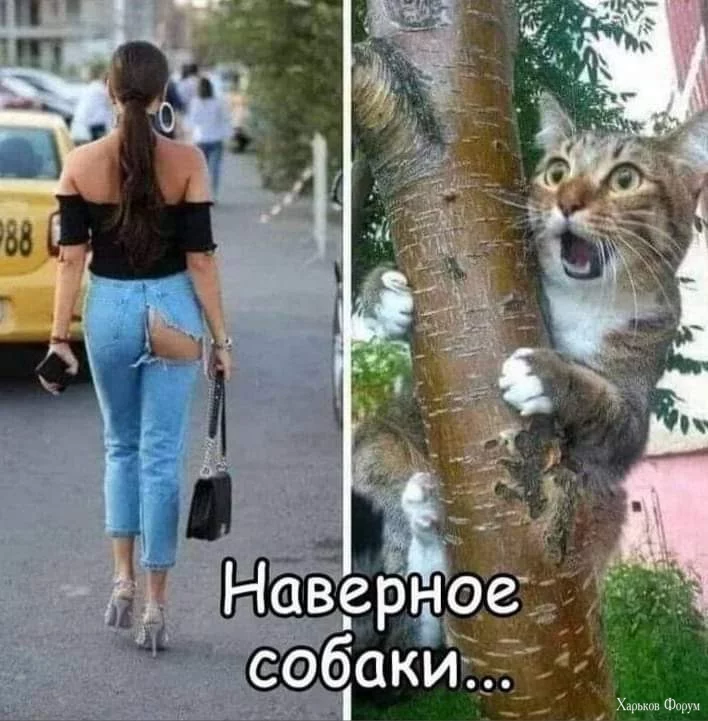 1000002135.jpg