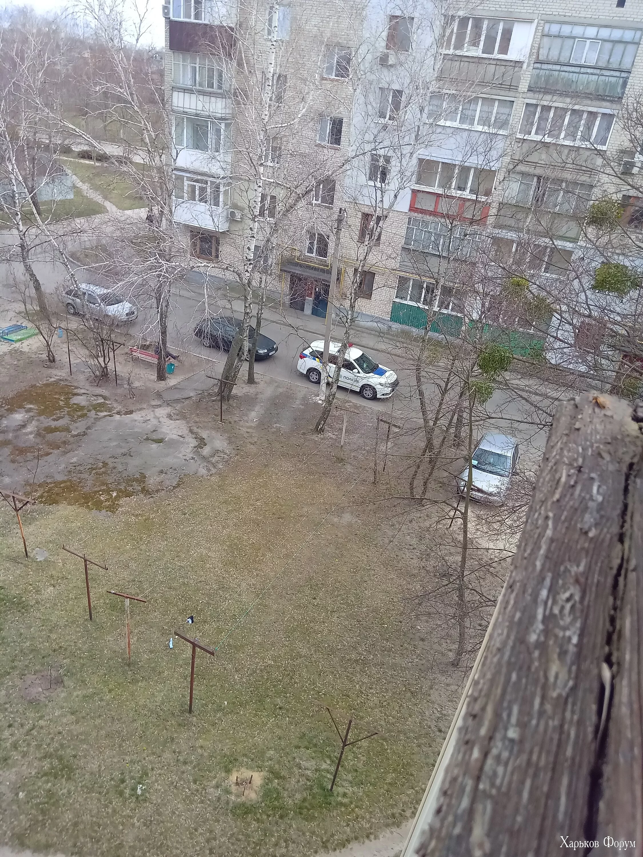 1000003211.webp