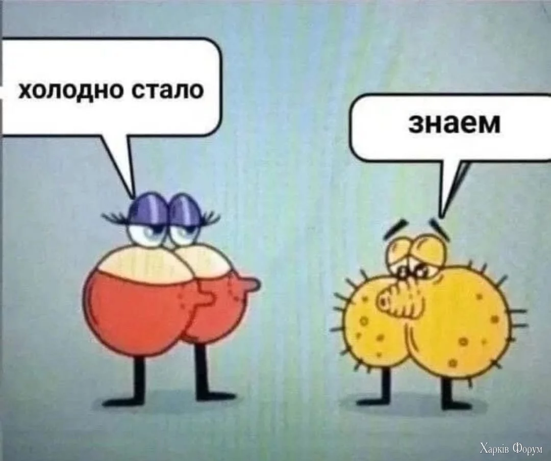 1000003820.webp