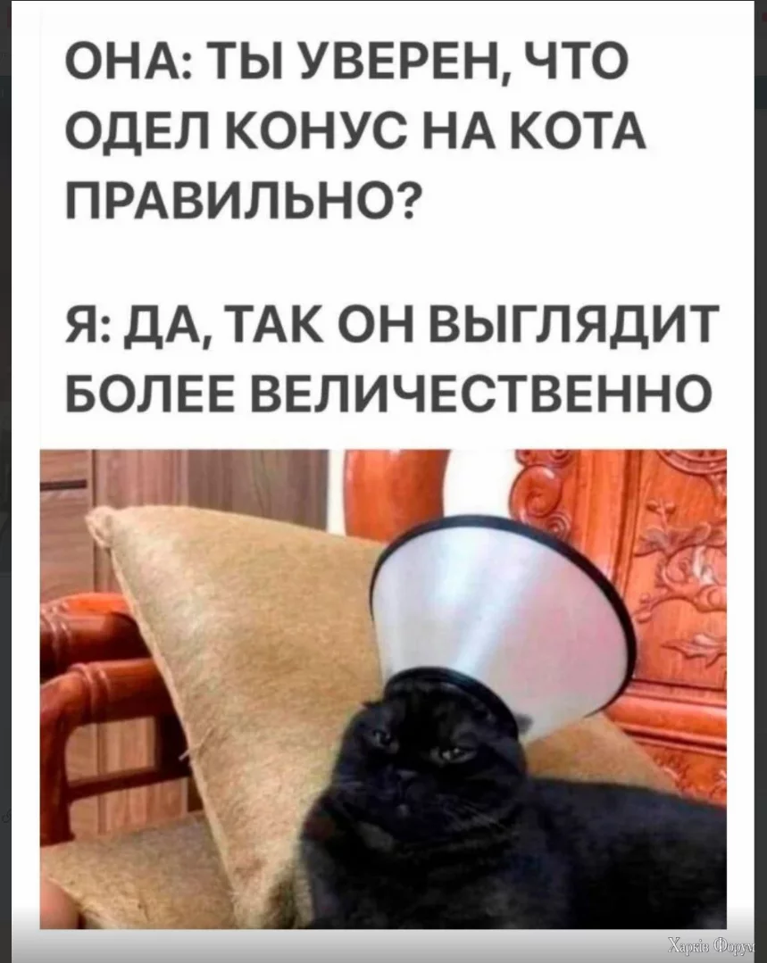 1000004537.png