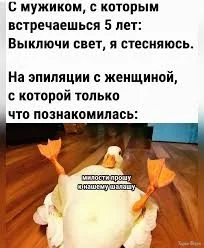 1000004678.webp