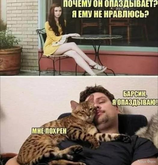 1000004840.webp