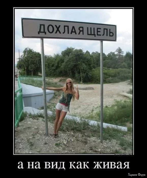 1000004941.webp