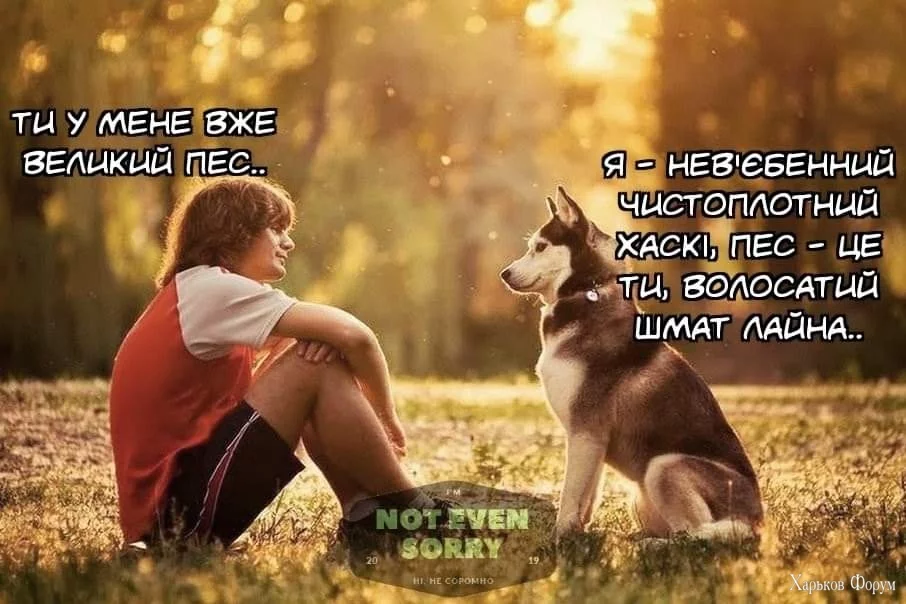 1000004949.webp