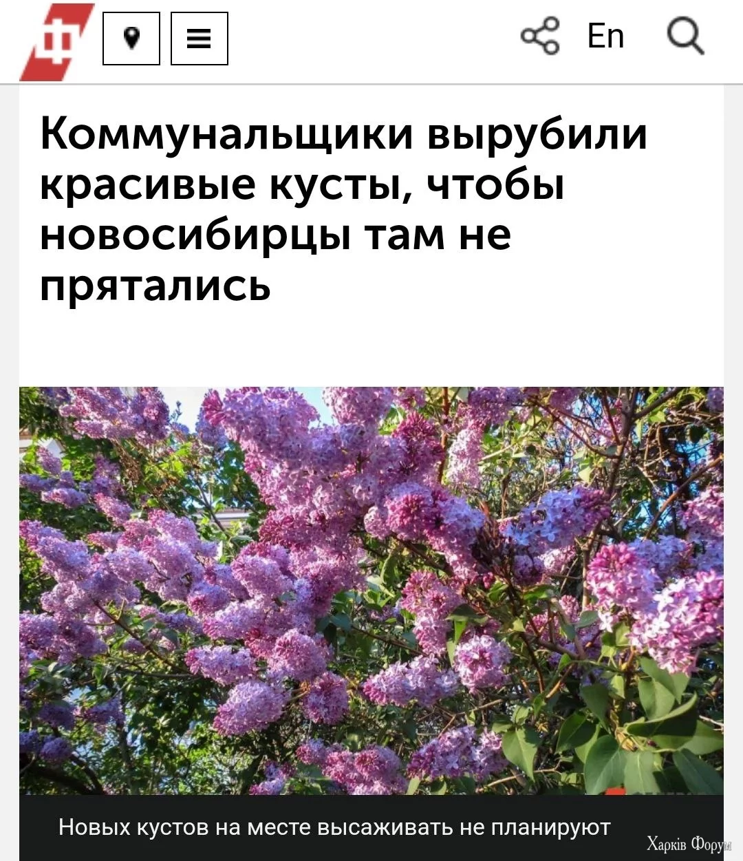1000005103.webp