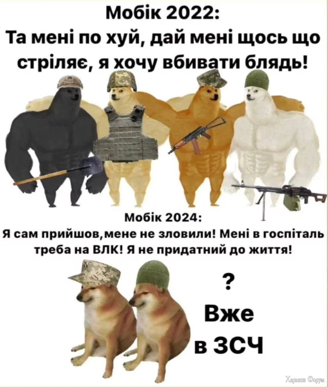 1000005196.webp