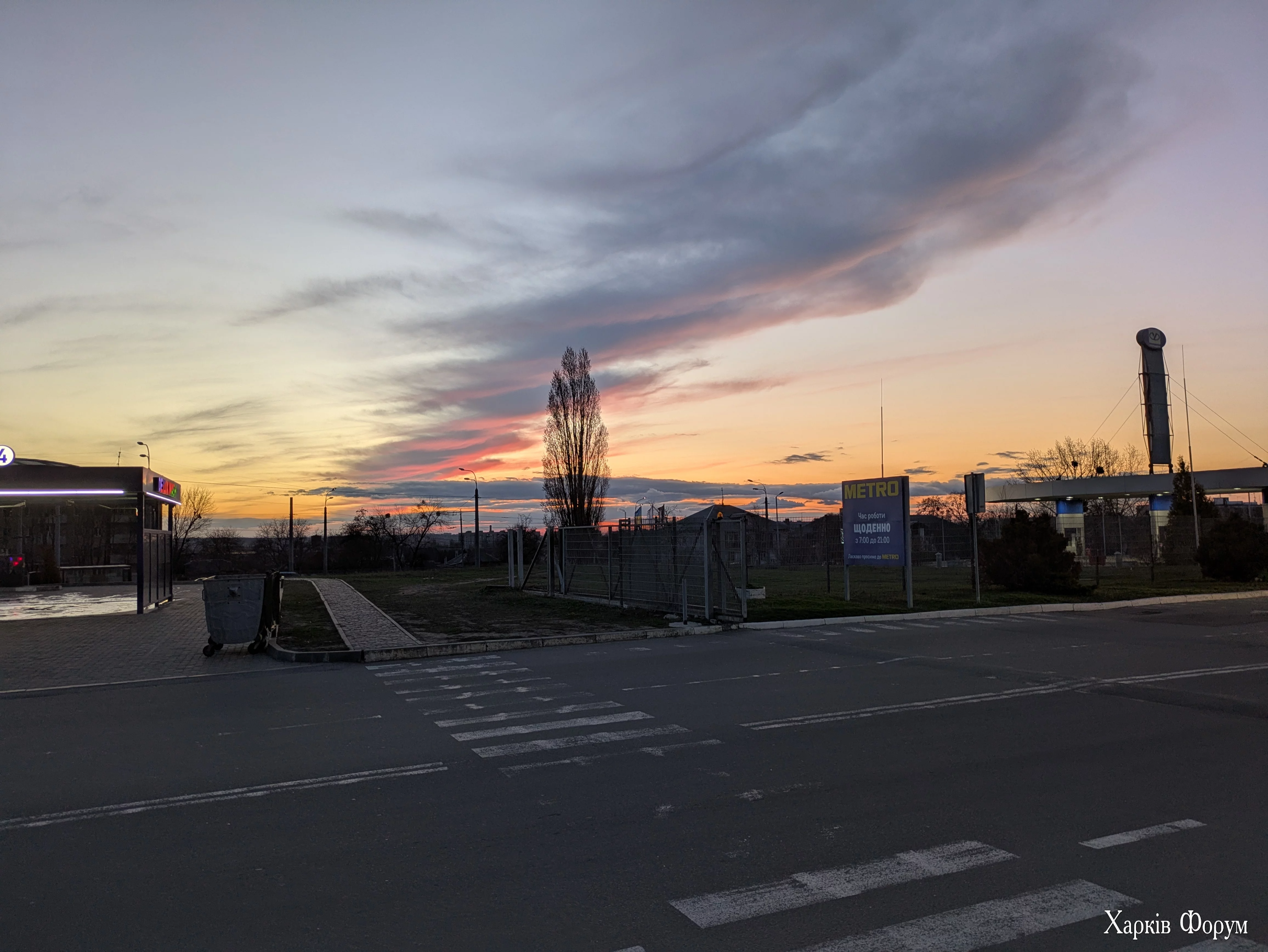 1000005231.webp